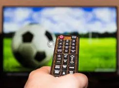 英媒曝,莱斯特城主,帅争夺战马,皇冠体育,Crown,皇冠体育网址,皇冠app,皇冠官网,皇冠集团