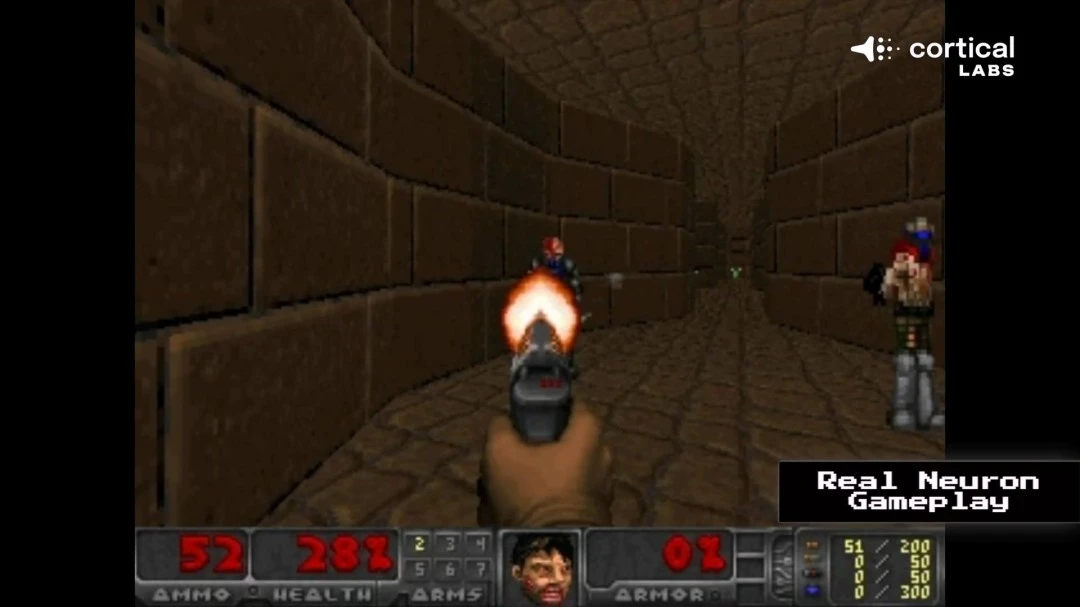 王曼昱力克,蒯曼闯入决,激情挥拳欢,皇冠体育,Crown,皇冠体育网址,皇冠app,皇冠官网,皇冠集团